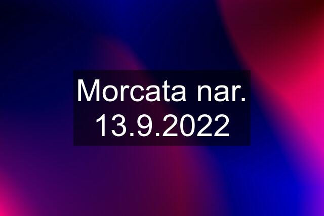 Morcata nar. 13.9.2022