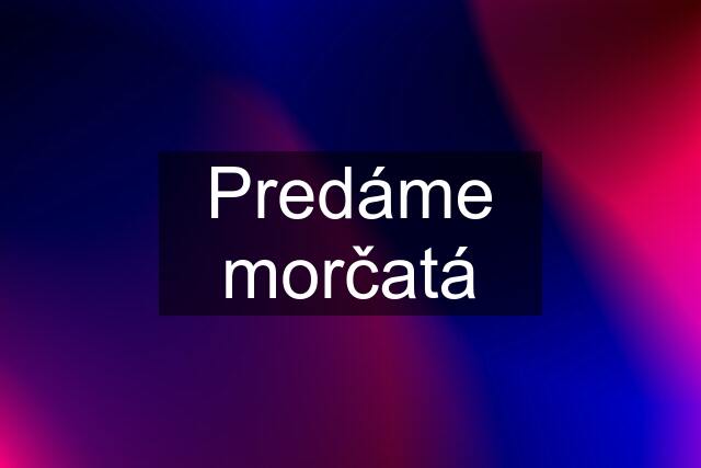 Predáme morčatá