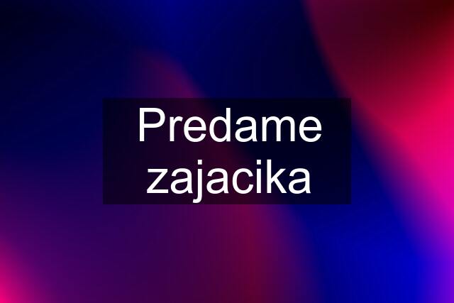 Predame zajacika