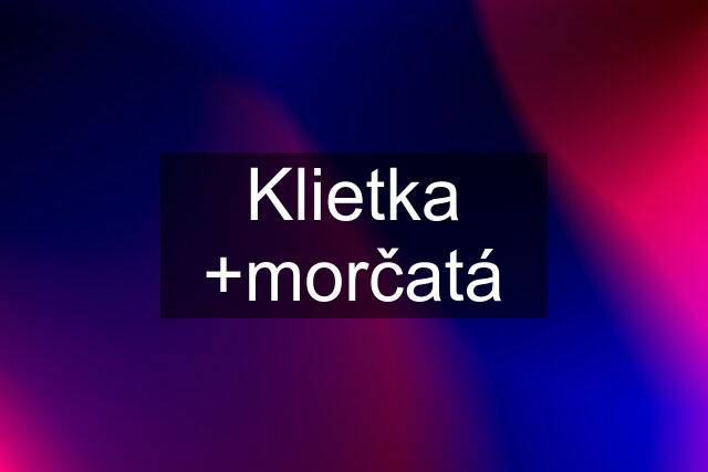 Klietka +morčatá