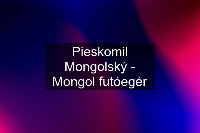 Pieskomil Mongolský - Mongol futóegér