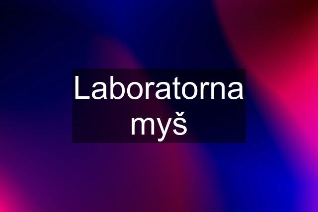 Laboratorna myš