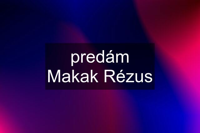 predám Makak Rézus