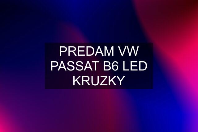 PREDAM VW PASSAT B6 LED KRUZKY