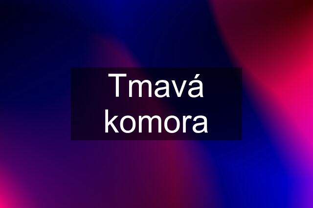 Tmavá komora