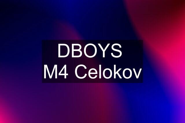 DBOYS  M4 Celokov