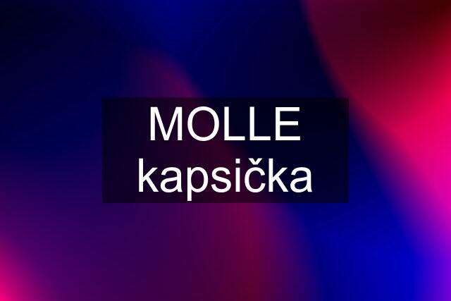 MOLLE kapsička