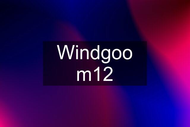 Windgoo m12