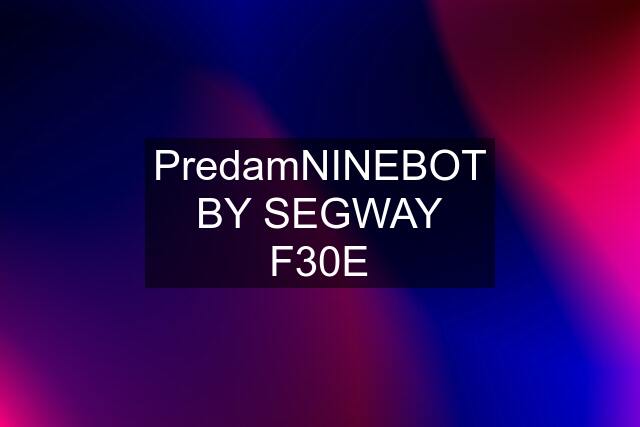 PredamNINEBOT BY SEGWAY F30E