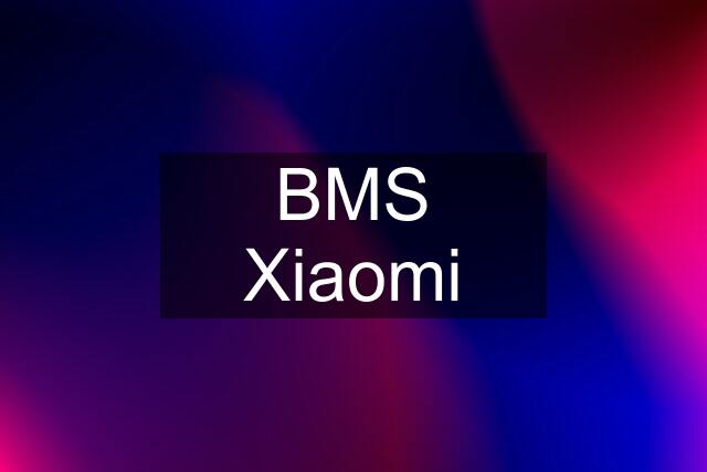 BMS Xiaomi