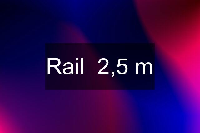 Rail  2,5 m