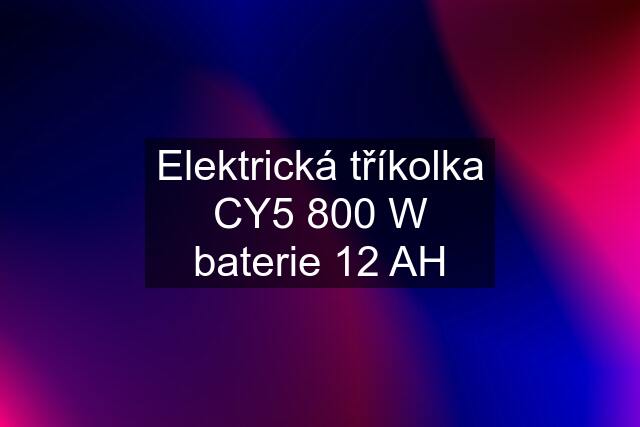 Elektrická tříkolka CY5 800 W baterie 12 AH