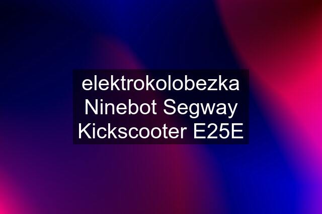 elektrokolobezka Ninebot Segway Kickscooter E25E