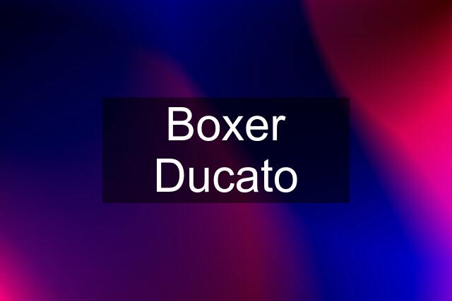 Boxer Ducato