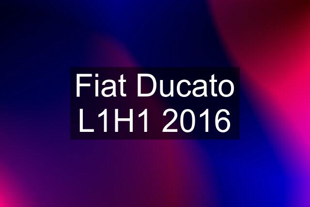 Fiat Ducato L1H1 2016