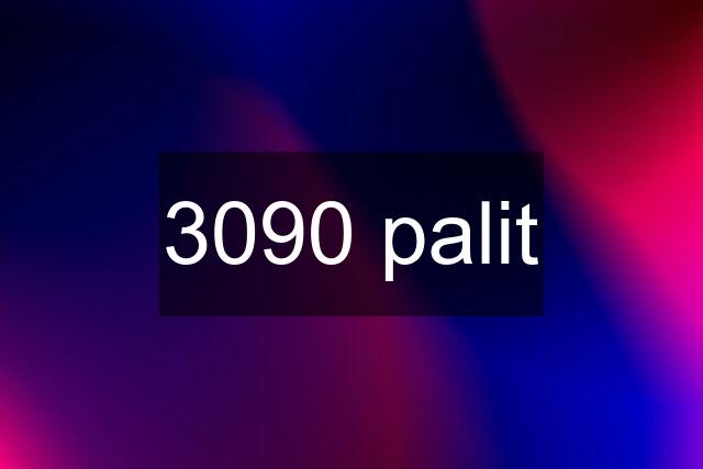 3090 palit