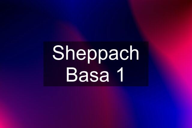 Sheppach Basa 1