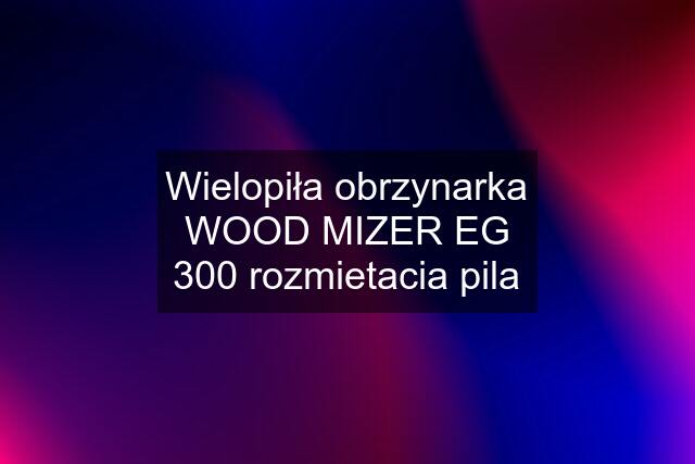 Wielopiła obrzynarka WOOD MIZER EG 300 rozmietacia pila