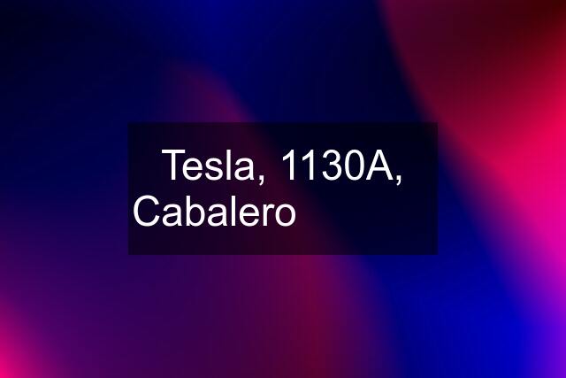 Tesla, 1130A, Cabalero  ✅ ✅ ✅