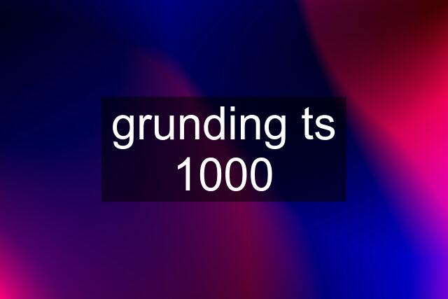 grunding ts 1000