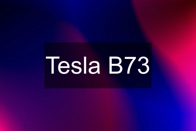 Tesla B73