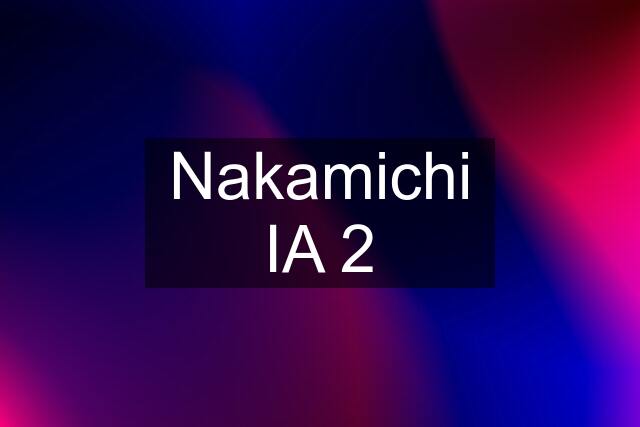 Nakamichi IA 2