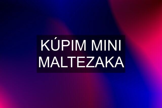 KÚPIM MINI MALTEZAKA