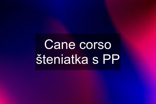 Cane corso šteniatka s PP