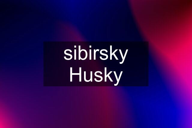 sibirsky Husky