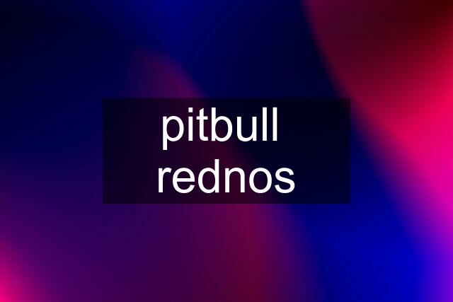 pitbull  rednos