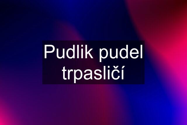 Pudlik pudel trpasličí