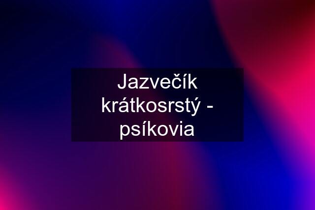 Jazvečík krátkosrstý - psíkovia