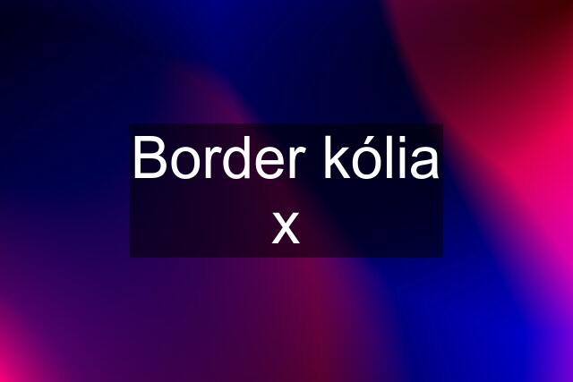 Border kólia x