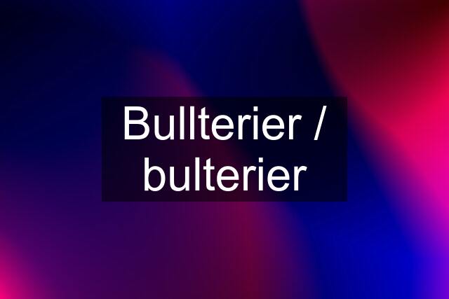 Bullterier / bulterier