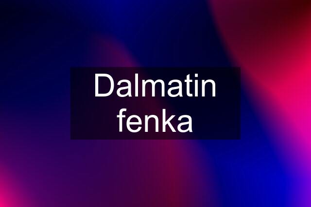 Dalmatin fenka