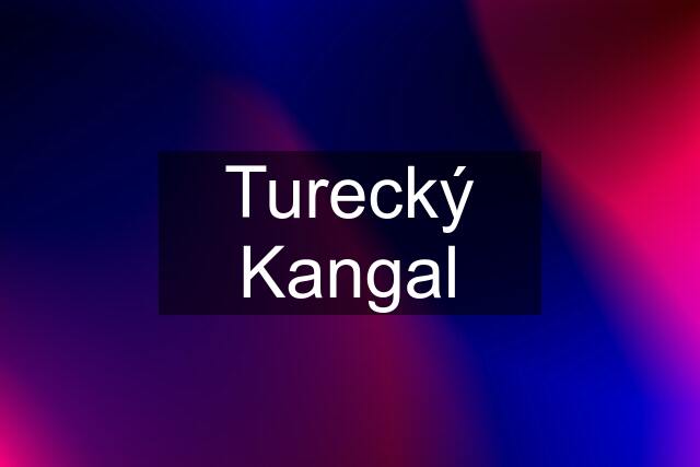 Turecký Kangal