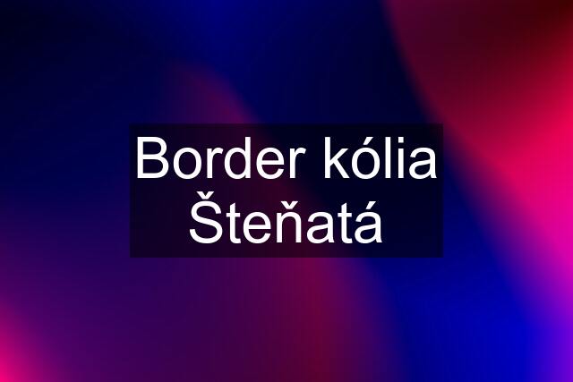 Border kólia Šteňatá