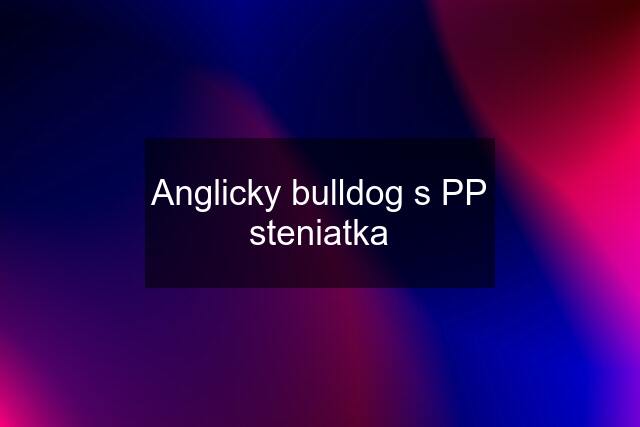 Anglicky bulldog s PP steniatka