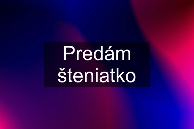 Predám šteniatko