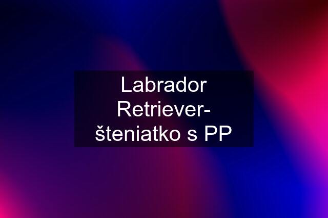 Labrador Retriever- šteniatko s PP