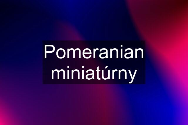 Pomeranian miniatúrny