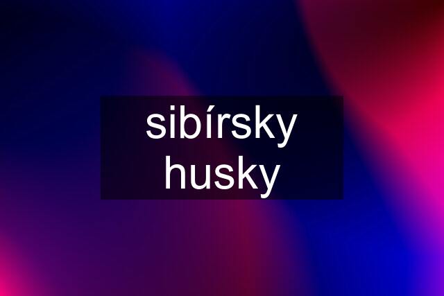 sibírsky husky