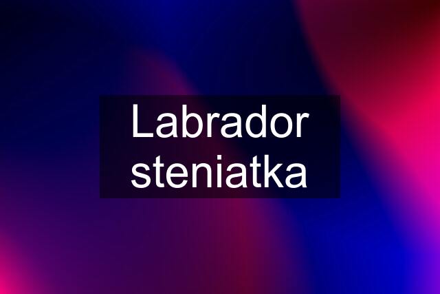 Labrador steniatka