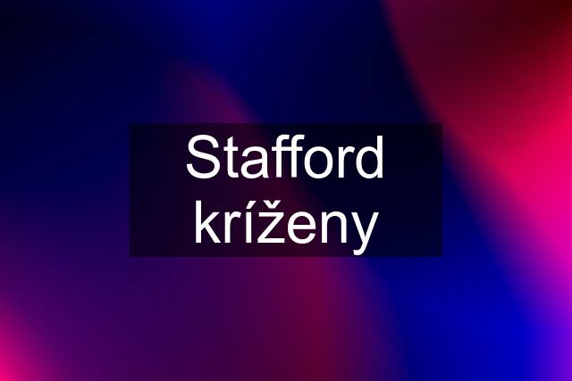 Stafford kríženy