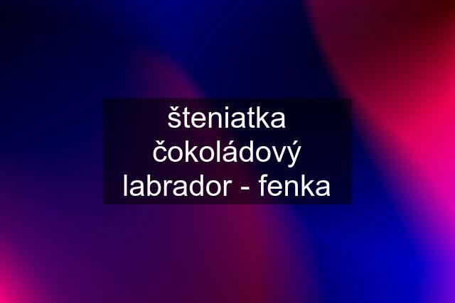 šteniatka čokoládový labrador - fenka