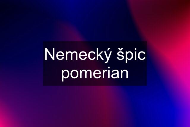 Nemecký špic pomerian