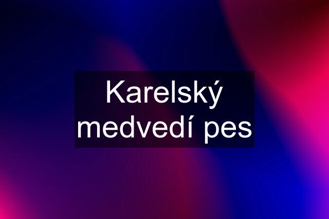 Karelský medvedí pes