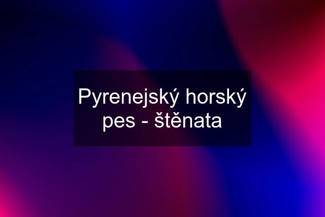 Pyrenejský horský pes - štěnata