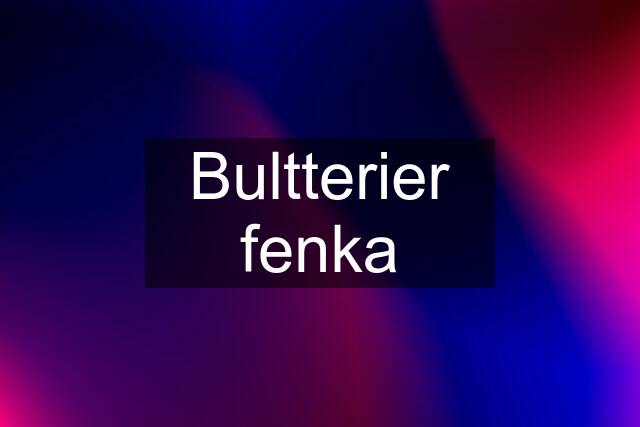 Bultterier fenka