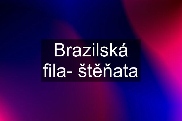 Brazilská fila- štěňata